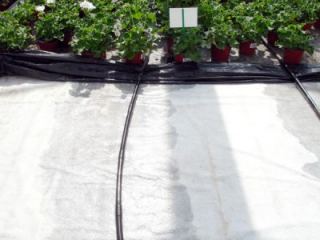 florapol_4_gross-400x300.jpg