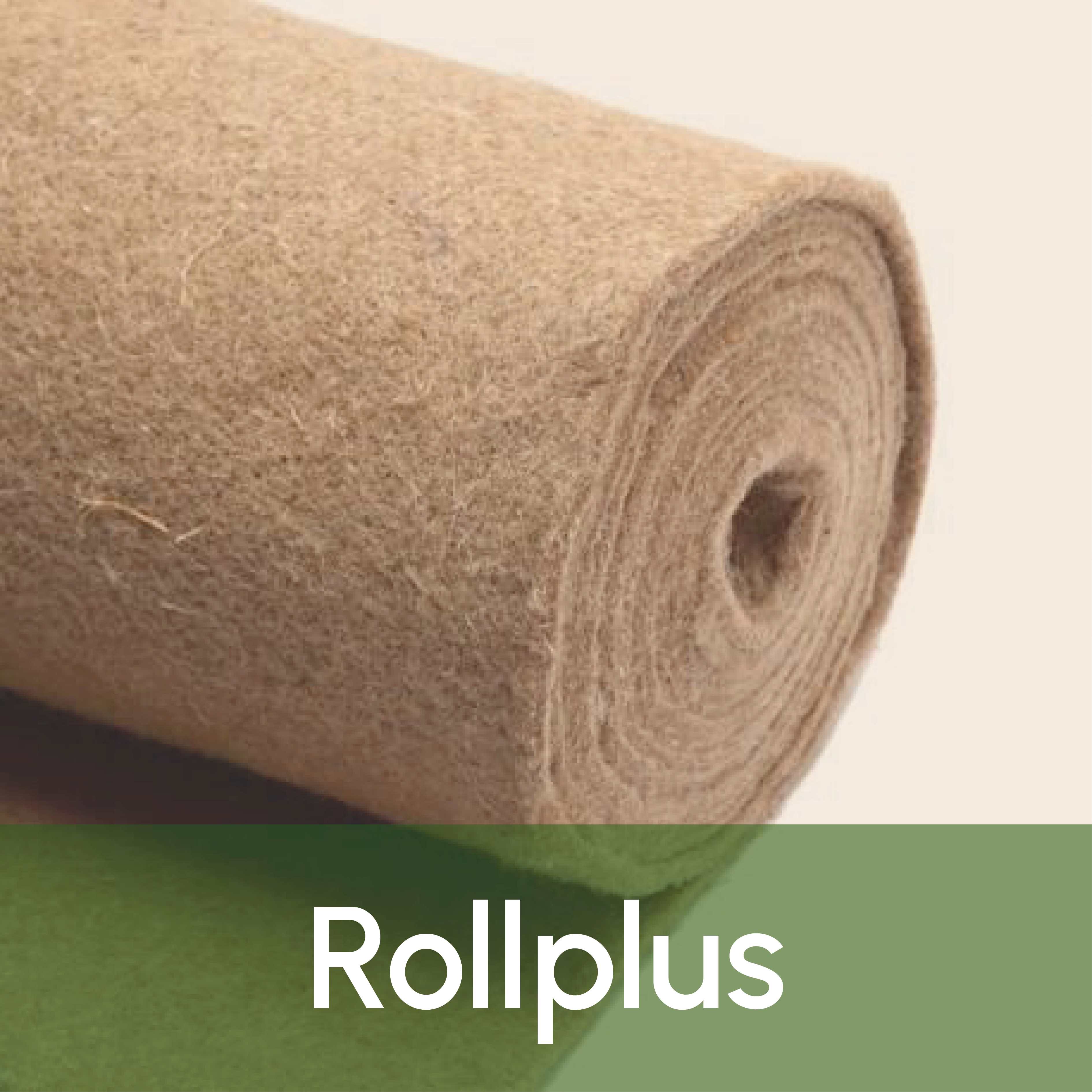 Rollplus.jpg